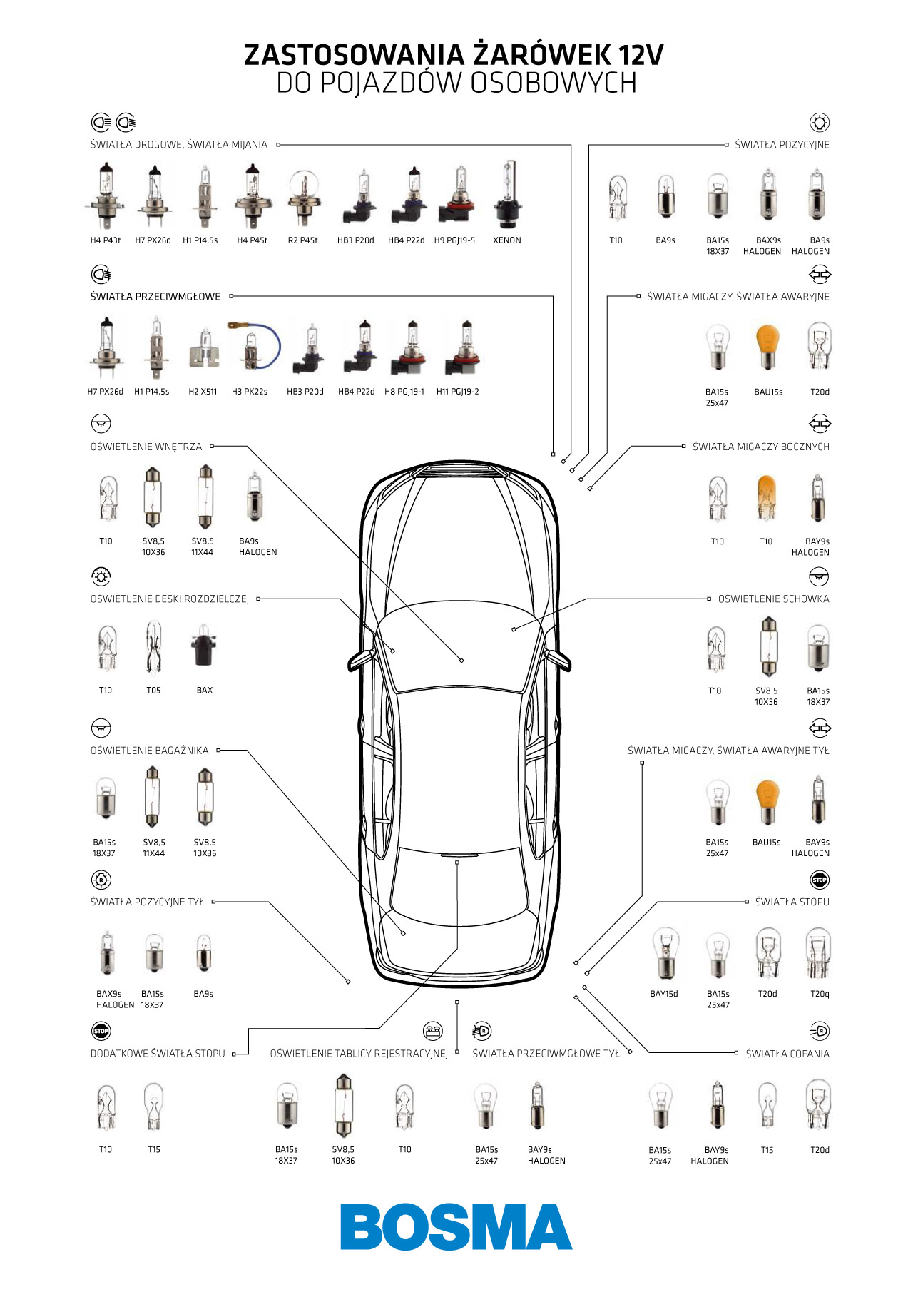 Infografika z zastosowaniami żarówek 12V do pojazdów osobowych